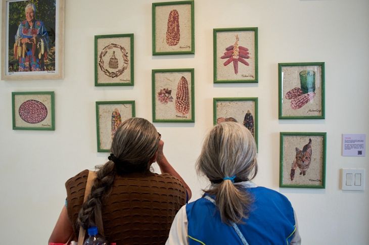 El Tren Maya y los organismos genéticamente modificados como productos del progreso científico